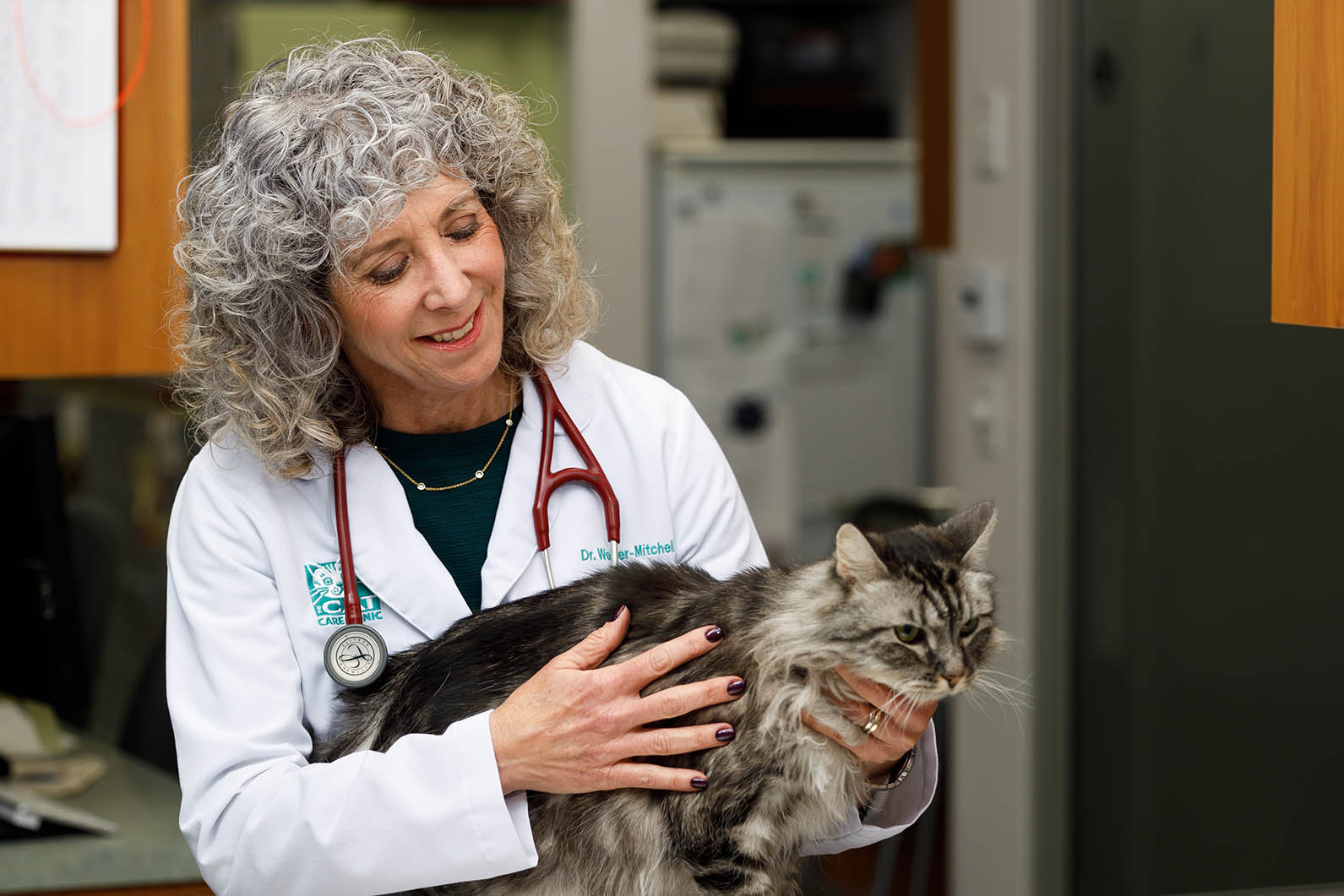 Books – The Cat Care Clinic Veterinary Services Orange, CA – Cat Hospital  Health Veterinarian