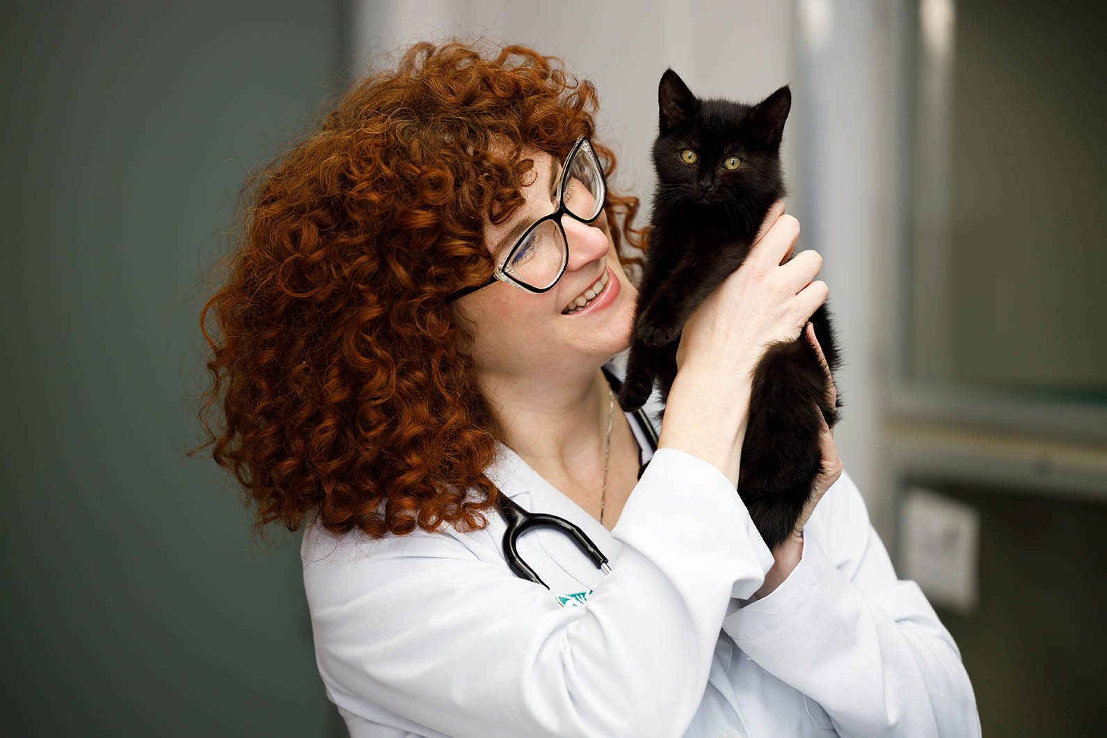 Reviews The Cat Care Clinic Veterinary Services Orange, CA Cat