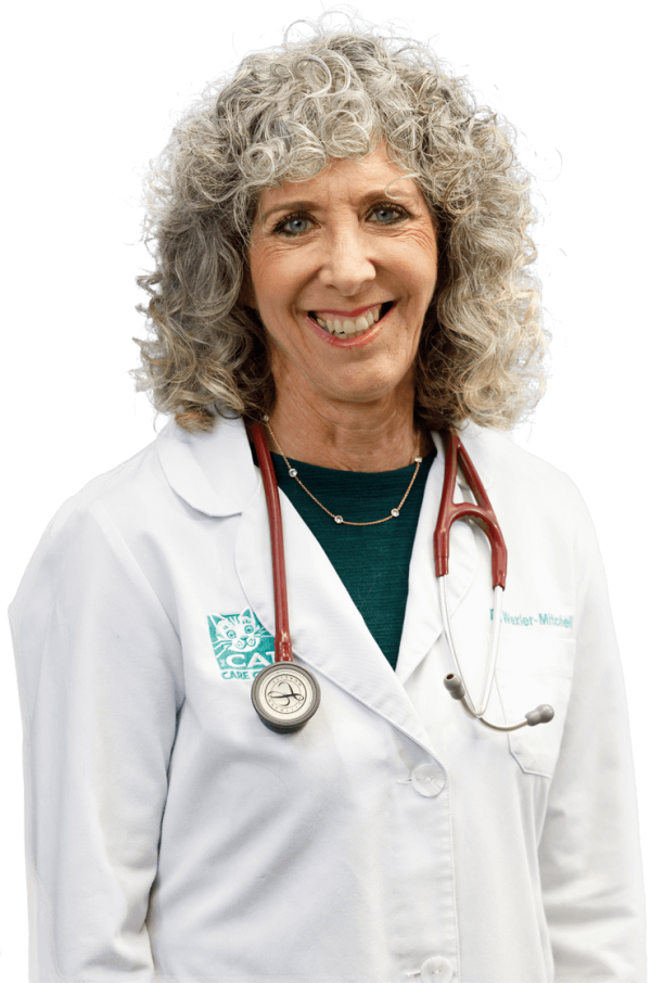 About Us The Cat Care Clinic Veterinary Services Orange, CA Cat