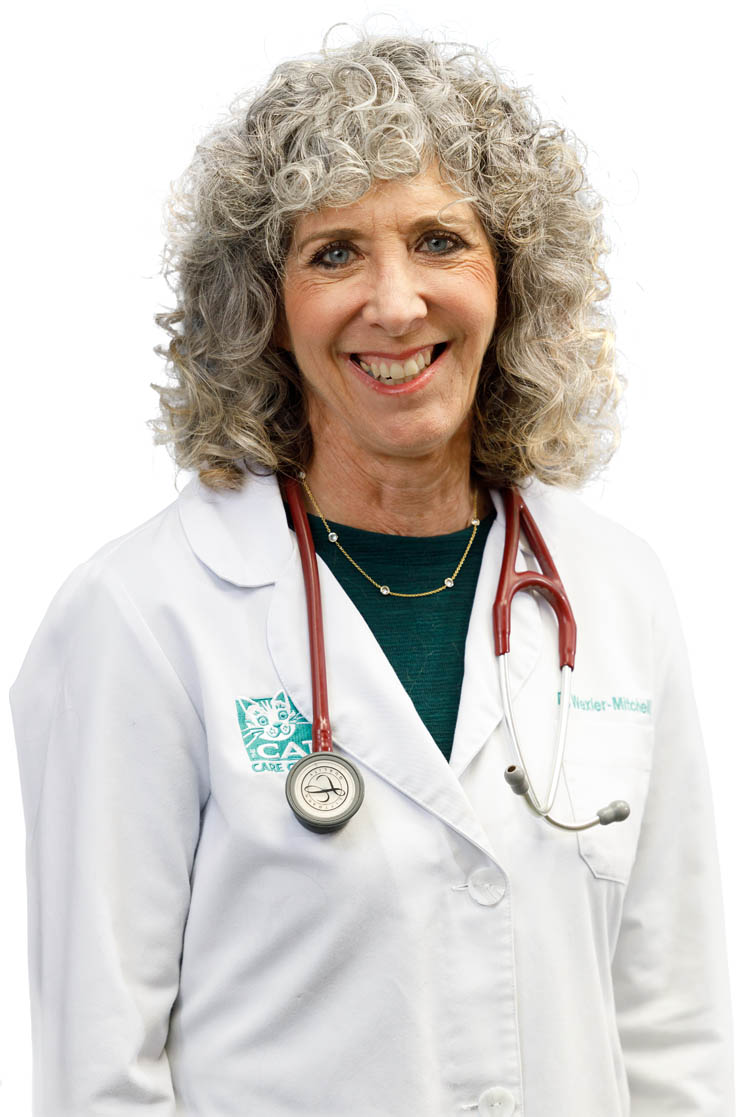 Dr. Elaine Wexler-Mitchell