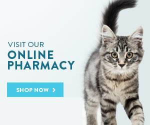 Online Pharmacy Badge