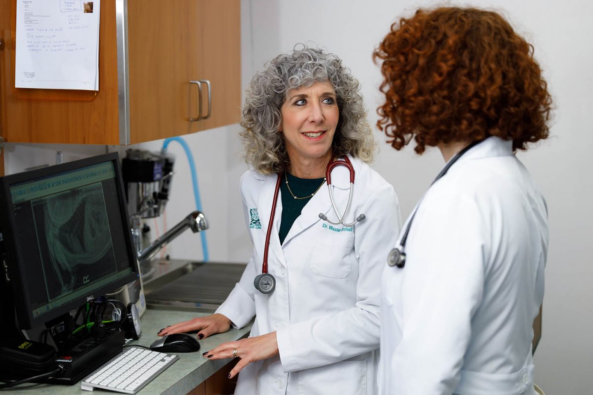 Technology The Cat Care Clinic Veterinary Services Orange, CA Cat